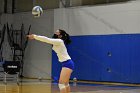 Women’s VB intersquad  Women’s Volleyball inter-squad match. : Women’s Volleyball, VB, inter squad, intersquad